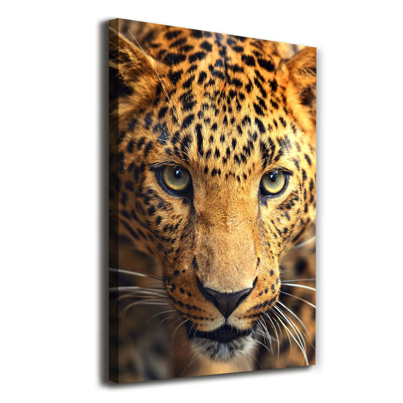 Leopard - Wrapped Canvas Print
