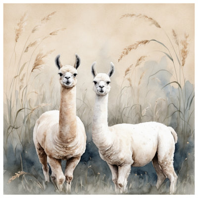 Coussins décoratifs à deux faces Two Llamas In Field
