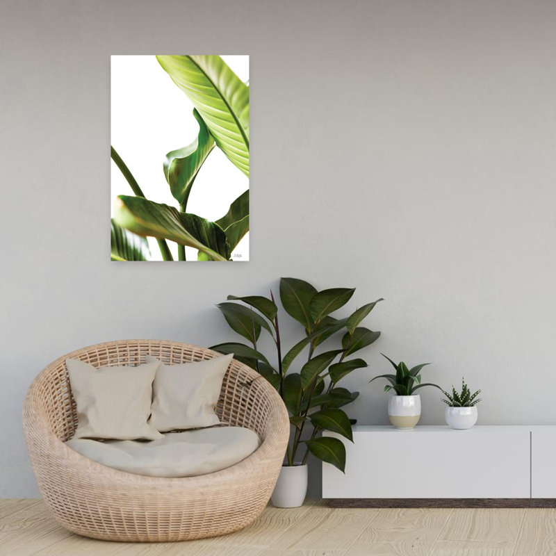 Plante, feuilles, plante abstraite, art tropical, H 24 po x l 16 po