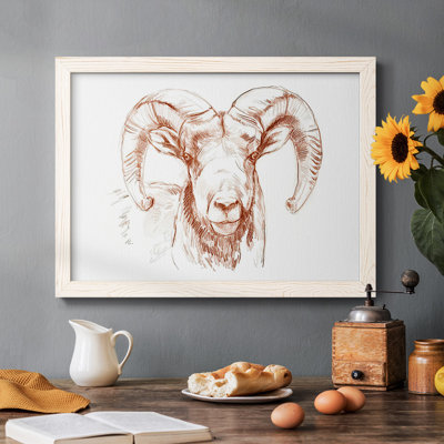" Big Horn Sheep II " by J Paul