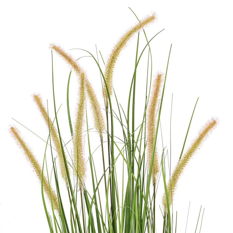 Artificial Potted Green Grass and Cattails, 36" H x 25" W x 25" D