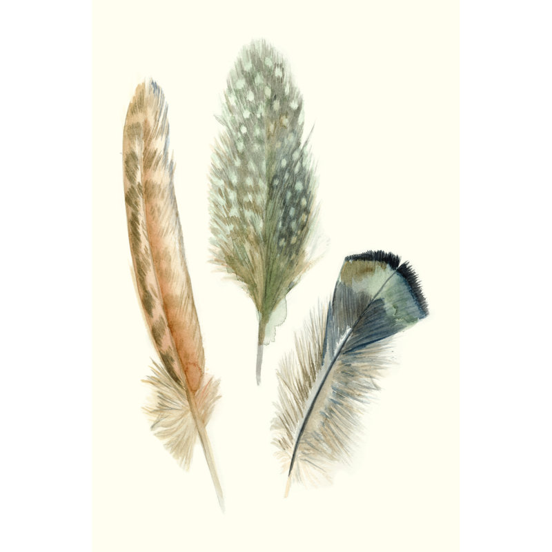 «Watercolor Feathers I» par Megan Meagher, reproduction d'art sur toile tendue, H 12 po x l 8 po