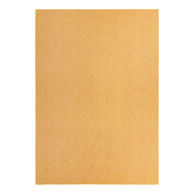 Indoor / Outdoor Rug