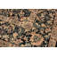 Wool Oriental Rug