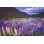 Kint chilean Patagonia Landscape - Photographie sur toile tendue