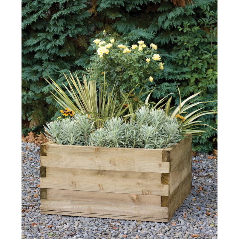 Caledonian Wood Raised Garden Bed, 45.2cm H x 90cm W x 90cm D
