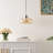 1 - Light Single Bowl Pendant