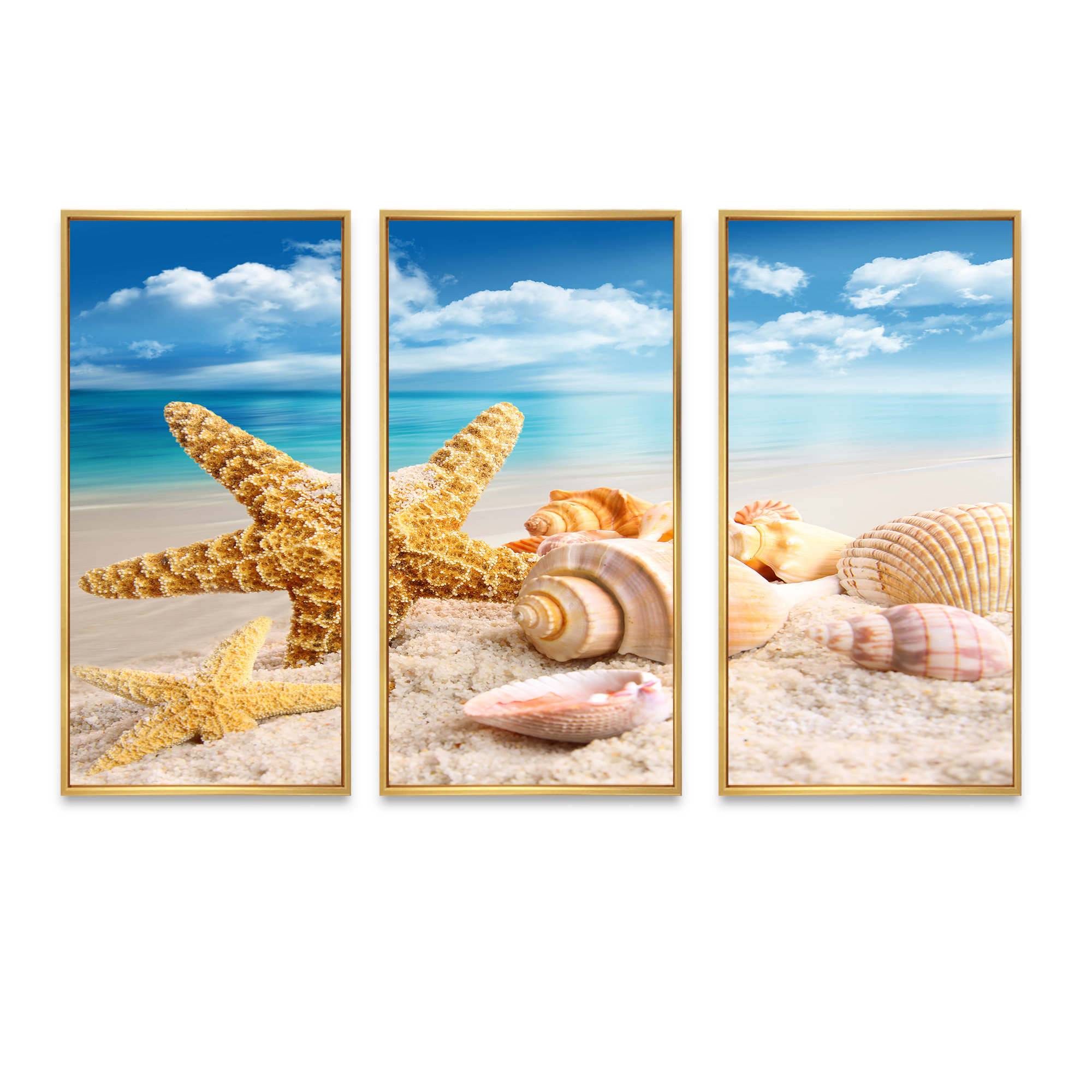 https://assets.wfcdn.com/im/8720301/compr-r85/2157/215727636/starfish-and-seashells-on-beach-framed-on-canvas-3-pieces-print.jpg
