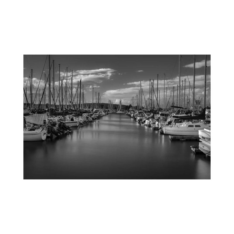 Silky Smooth by Louis Ruth - Wrapped Canvas Print, 66.04 cm H x 45.72 cm W x 3.175 cm D