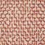 Frolic Pillow Cover & Insert-73411712-114601449