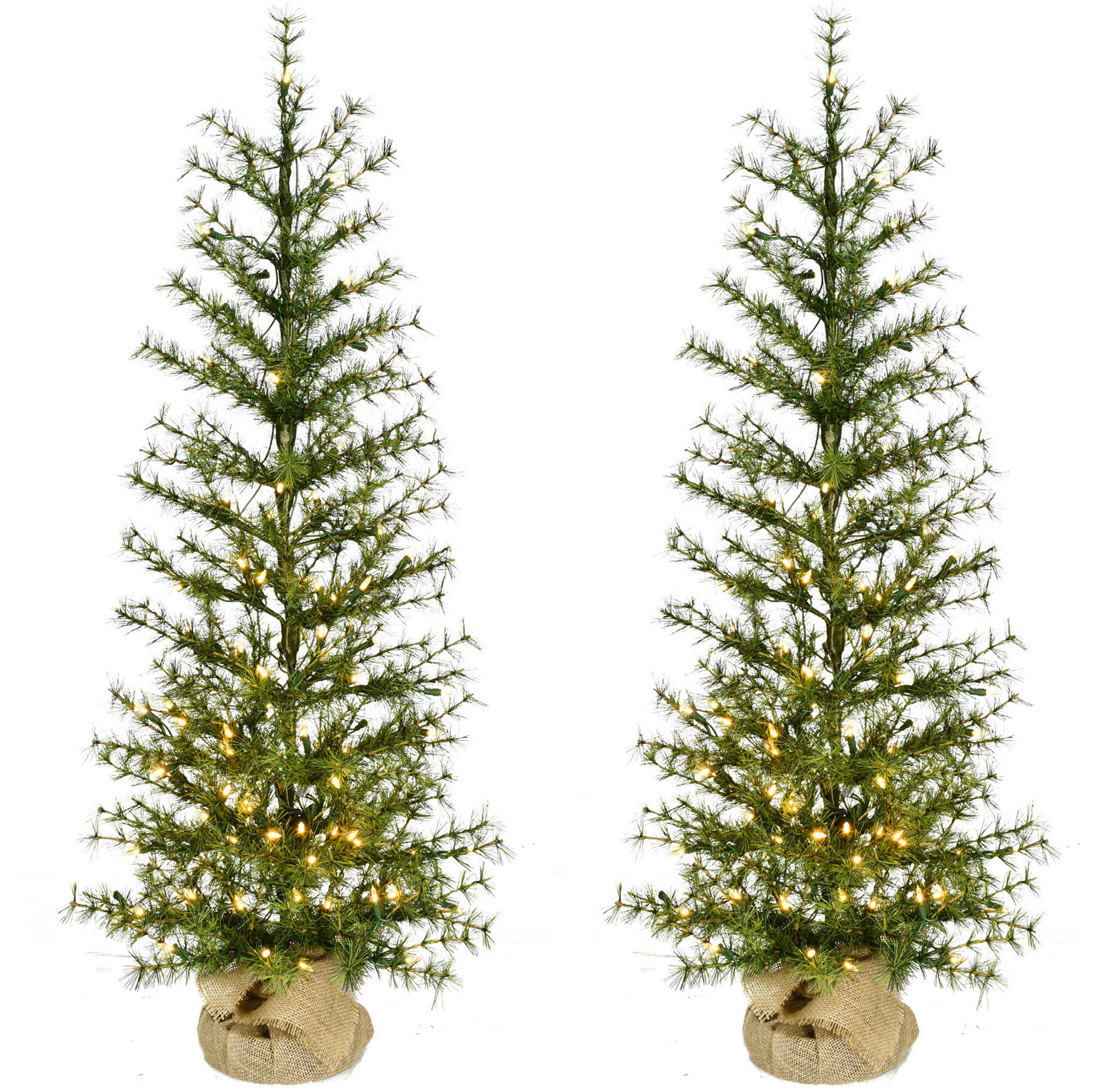 The Holiday Aisle® 4' Lighted Fir Christmas Tree | Wayfair