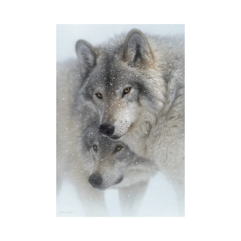 Wild Devotion - Gray Wolves, Canvas, 18" H x 12" W x 1.5" D