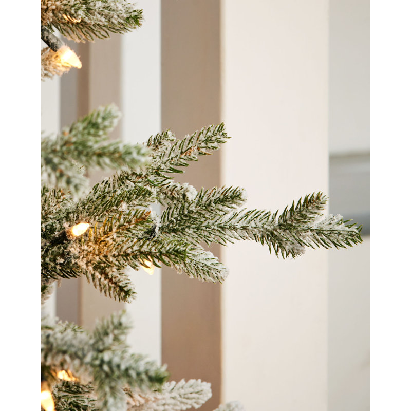 Lighted Artificial Fir Christmas Tree, 213.36cm H x 137.36cm W x 137.36cm D