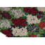 One-of-a-Kind Runner 2'4" X 5'9" Area Rug