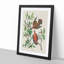 Lenaida Doves by John James Audubon - Picture Frame Painting Print-55582775-55582780
