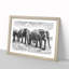 Elephants in Sri Lanka - Framed Print-56841832-56841833
