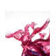 Crystal Phoenix