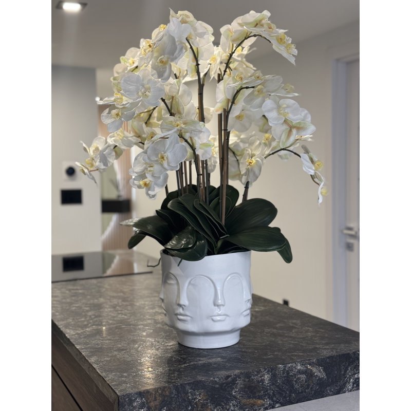 Matte Visage Vase With White Orchids