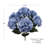 Hydrangea Bush-292098870