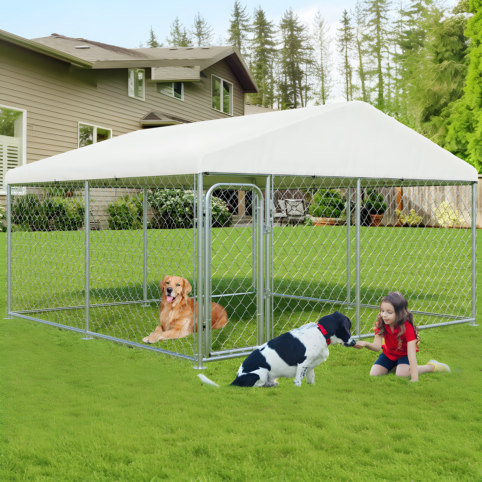 MYBEILEYI Outdoor Large Dog Kennel 10 x 10 FT, Heavy Duty Dog