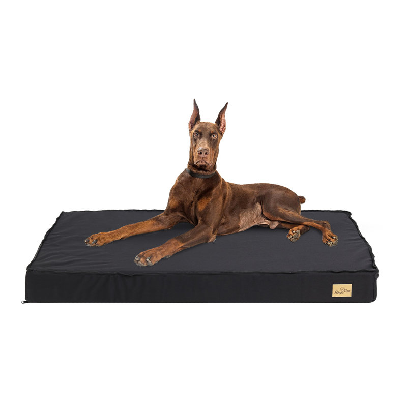 Orthopedic Pet Bed, 10cm H x 120cm W x 75cm D