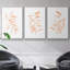 Blush Olive Anch I - ensemble de 3 reproductions de photos sur toile-97757247-97757241
