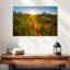 Harnek Cactus Desert Garden-107853985