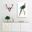 Curve-billed Cuckoo by George Shaw - Wrapped Canvas-55304387