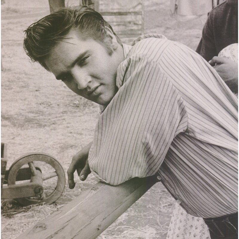 Elvis, 1956 MCG-E391, H 15 po x l 15 po
