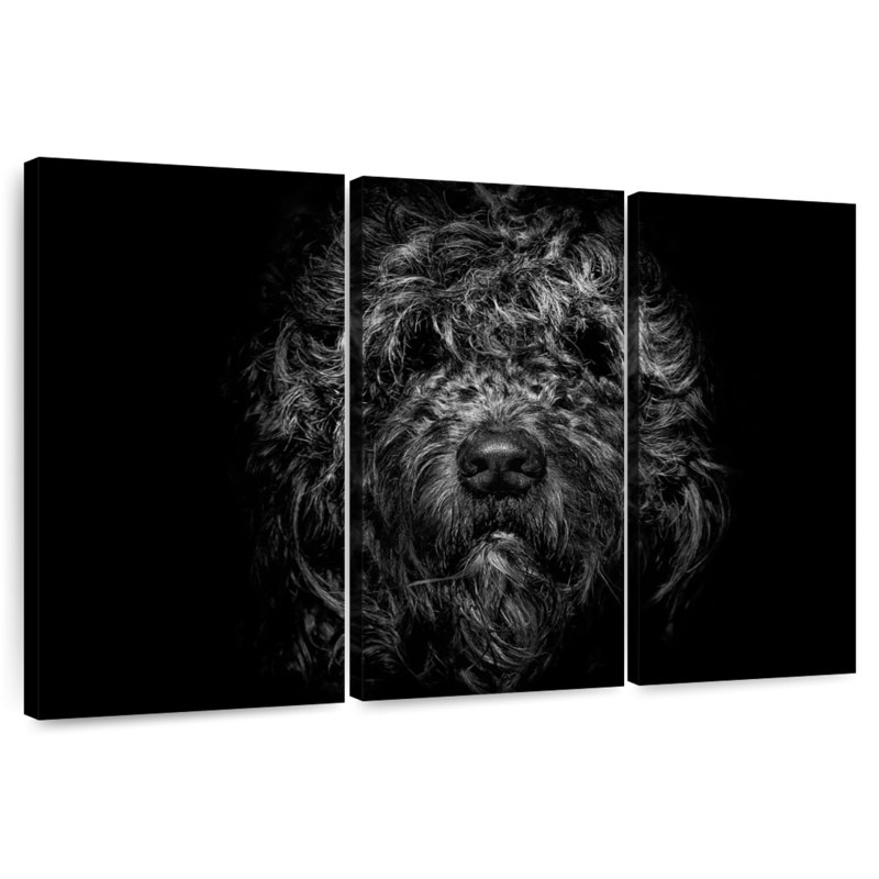 Brampt Ziggy Portrait, 14" H x 23" W