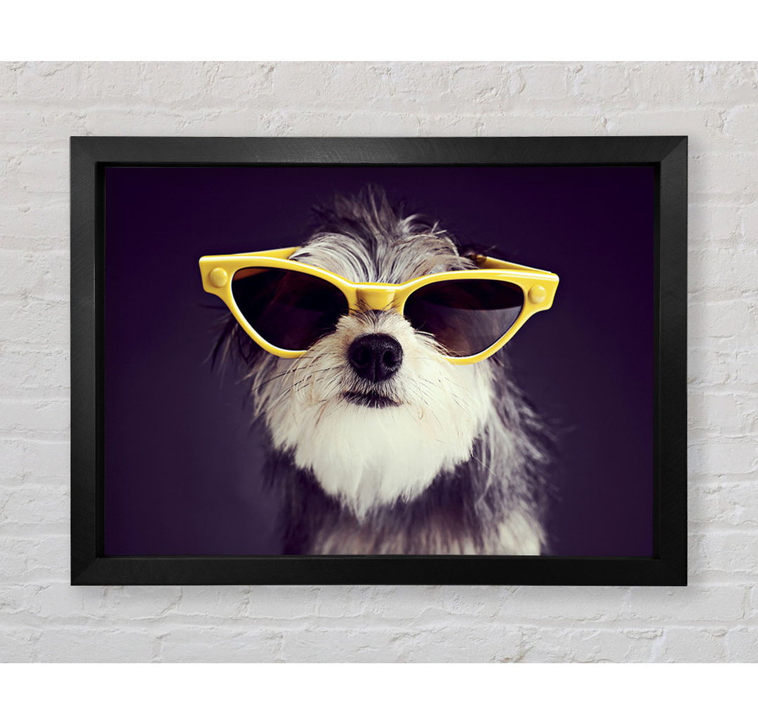 Sonnenbrille Hund Pooch Gerahmter Druck Wandkunst