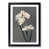 Black Framed selected