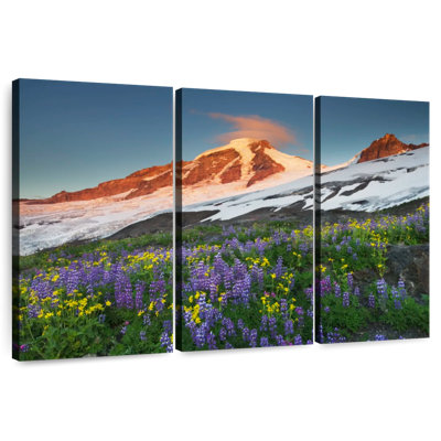 Champ de fleurs Alvord Mount Baker