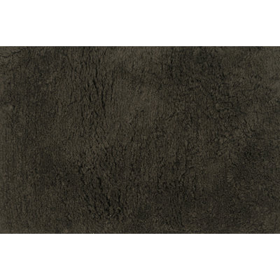 DeGennaro Indoor Rug