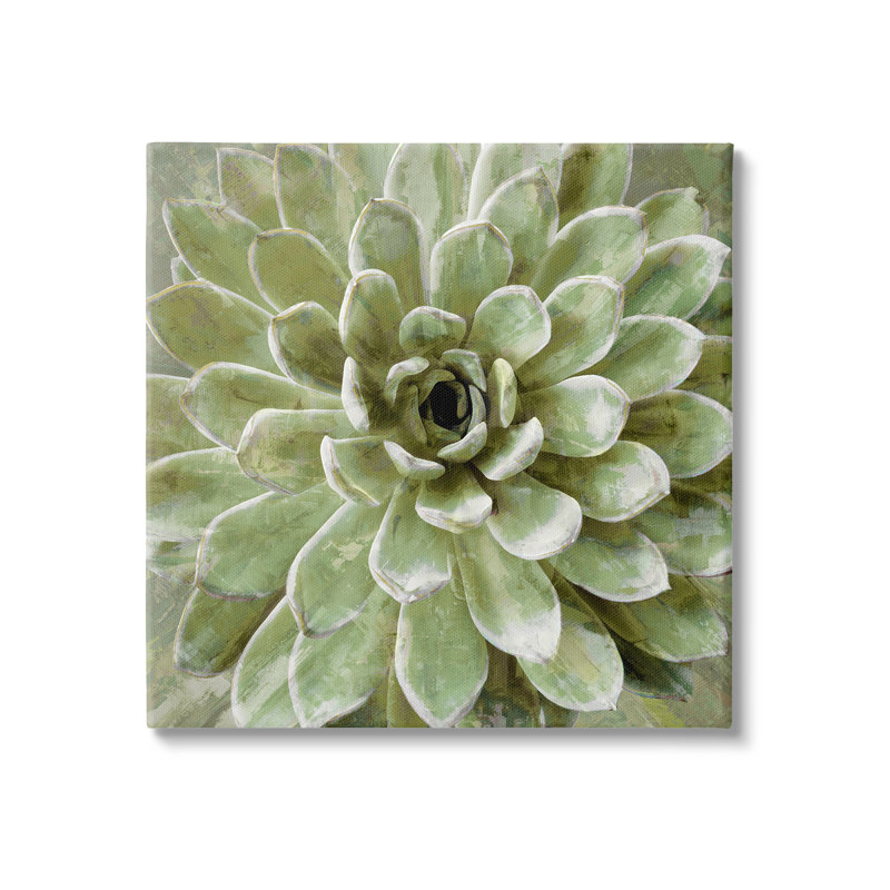 Au-738-Toile plante grasse, vue abstraite sur toile par Lindsay Benson, peinture, H 36 po x l 36 po x P 1,5 po