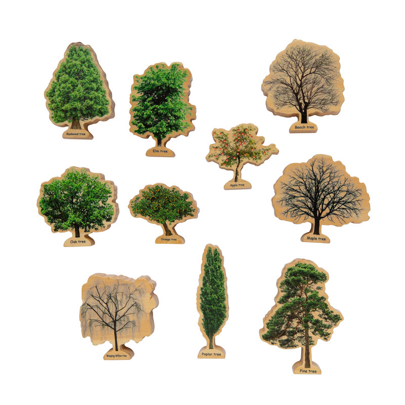 Arbres de saisons