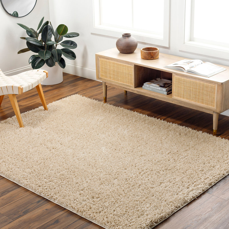 Astaryanza Solid Colour Area Rug, Rectangle 200 x 275cm