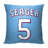 Polyester Pillow Cover