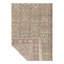 Oriental Area Rug in Ivory