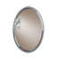 Leaf Traditional Beveled Accent Mirror-71638469