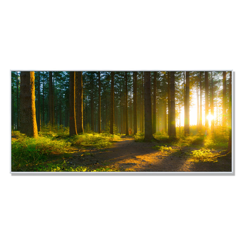 Lever de soleil dans la forêt verte - Photographie sur toile, Cadre blanc, H 16 po x l 32 po x P 1 po