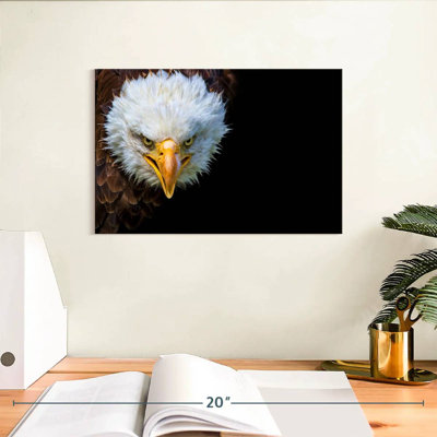 Crowle Fiery Bald Eagle