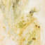 The Unruliness Of Growing Things Painting by Kristen Abbott-1749680736