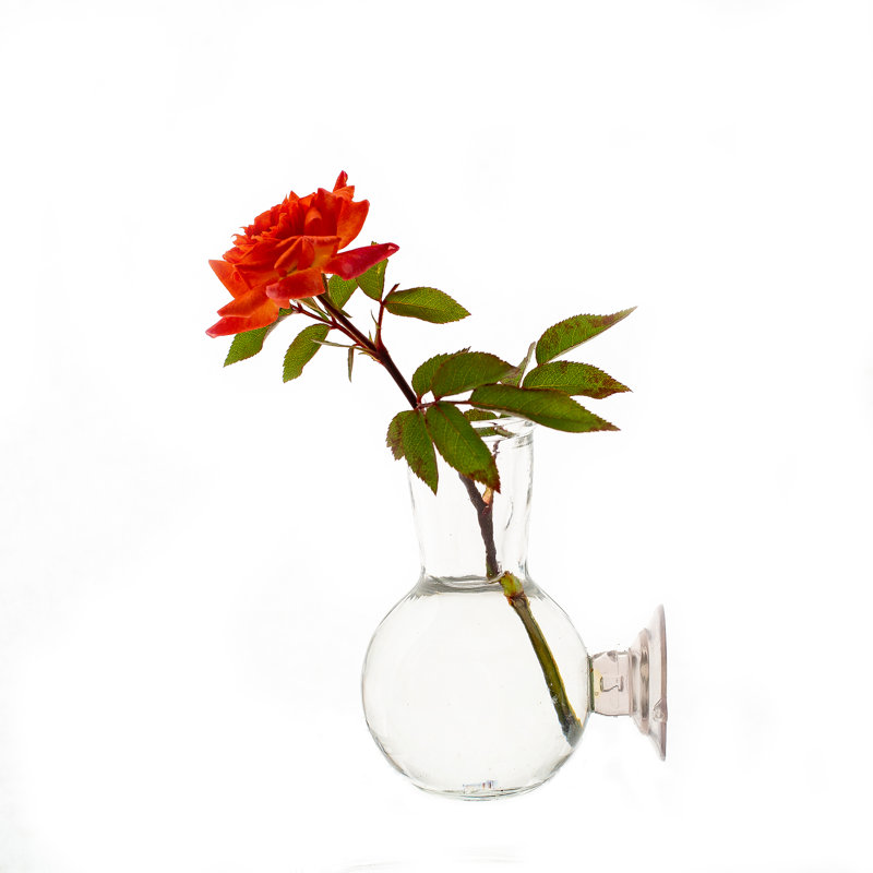 Vase en verre transparent 3 "