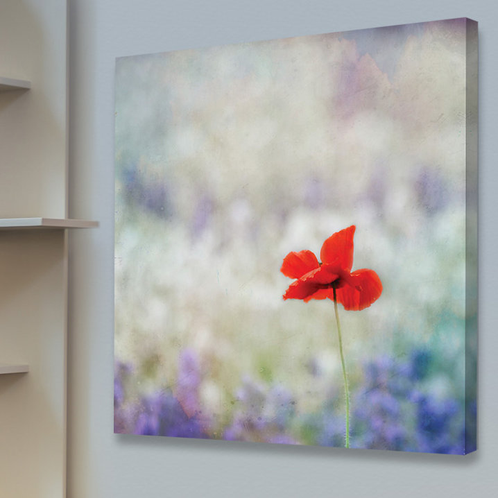 Dream On 2 1 Piece Wrapped Canvas Wall Art, 101cm H x 101cm W