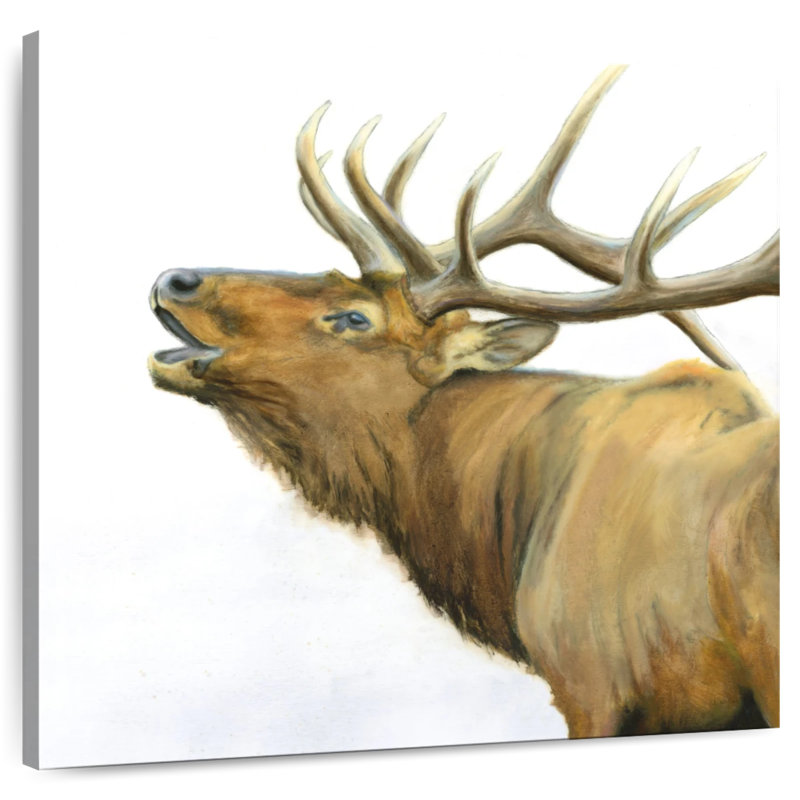 Brampt Majestic Elk Brown Crop