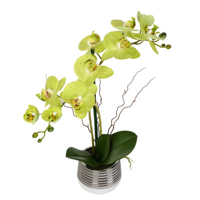 19.5 " Polyester Orchid Arrangement