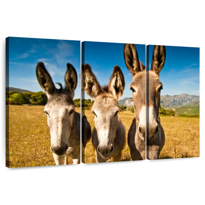 Brampt Donkey Trio, 24" H x 38" W