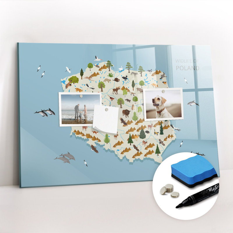 Magnetic Glass Dry Erase Board
