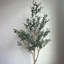 Olive artificielle 6 "en pot